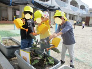 まつがね保育園なす